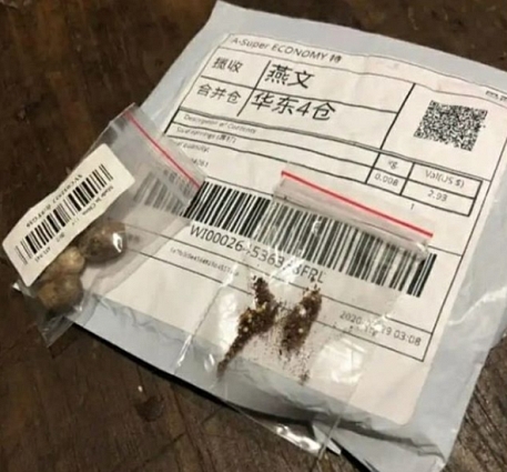 Atenção para o recebimento de sementes pelos Correios 